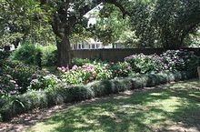 Flowerbeds and greenery plantation Flowerbeds and greenery plantation