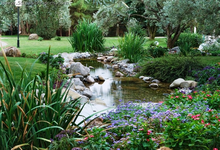 Garden stream