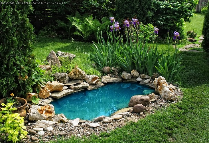 Garden pond